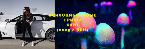 марки lsd Бугульма