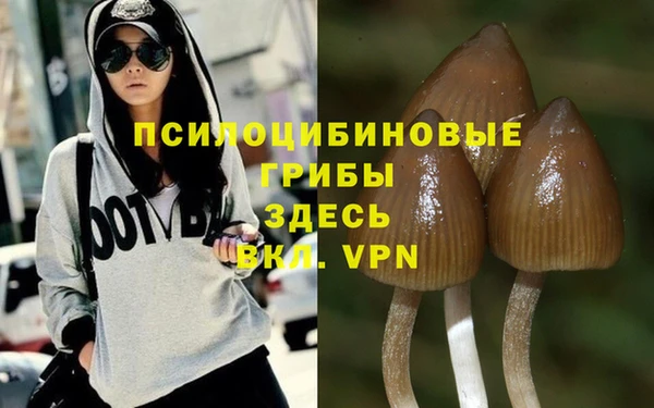 спиды Бородино