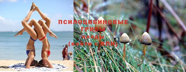спиды Бородино