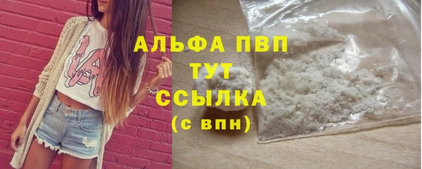 спиды Бородино