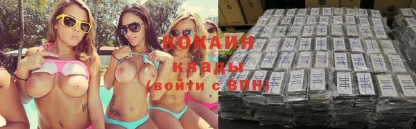 спиды Бородино