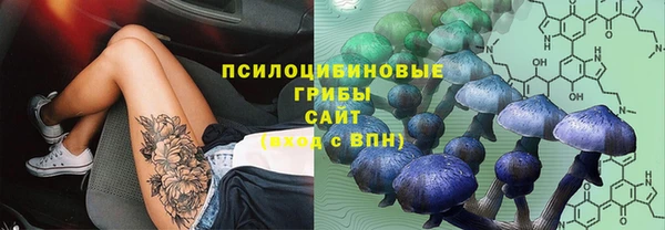дмт Бронницы
