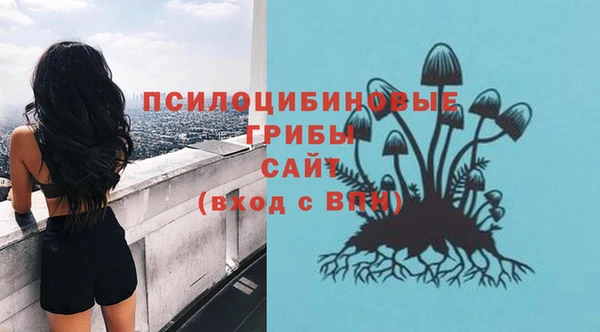 марки lsd Бугульма
