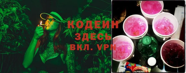 спиды Бородино