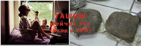 спиды Бородино
