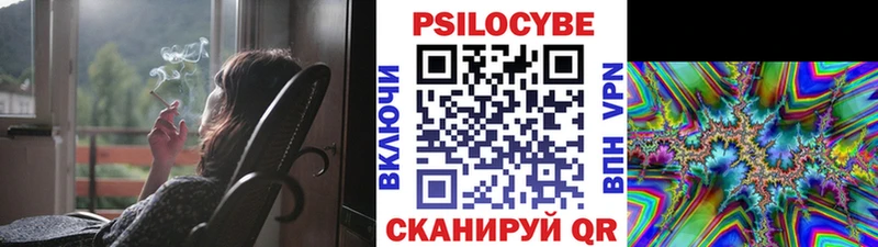Псилоцибиновые грибы Psilocybine cubensis  blacksprut вход  Нолинск 